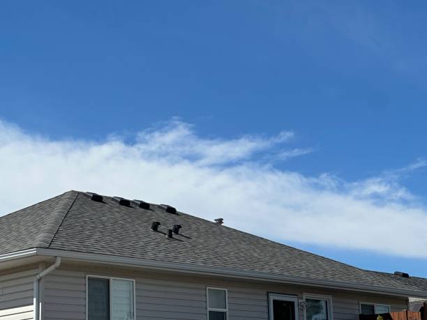 Best Roof Leak Repair  in De Graff, OH